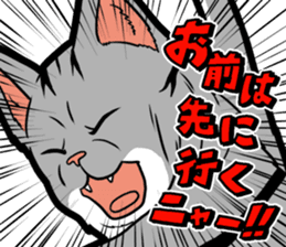 Kitan Club Japanese Cat "KUITOMERU-NYA" sticker #7057079