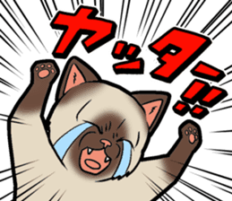 Kitan Club Japanese Cat "KUITOMERU-NYA" sticker #7057081