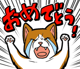 Kitan Club Japanese Cat "KUITOMERU-NYA" sticker #7057082