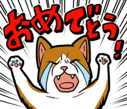 Kitan Club Japanese Cat "KUITOMERU-NYA" sticker #7057082