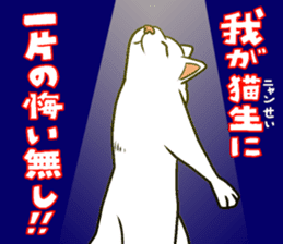Kitan Club Japanese Cat "KUITOMERU-NYA" sticker #7057085