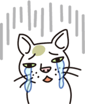 The cat WHITERUM lives in the present. sticker #7059356