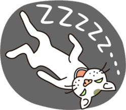 The cat WHITERUM lives in the present. sticker #7059365