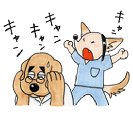 animal verierinary examination treatment sticker #7059624