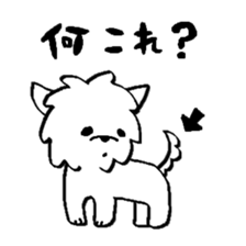 Maltese is of vanilla2 sticker #7062839