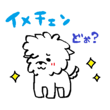 Maltese is of vanilla2 sticker #7062845