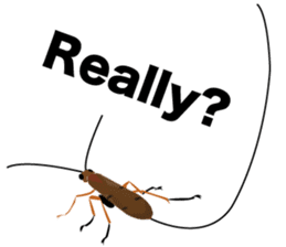 Cool Japanese insects sticker #7064848