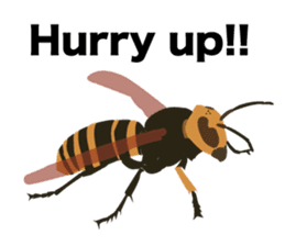 Cool Japanese insects sticker #7064850