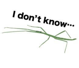 Cool Japanese insects sticker #7064851