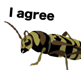 Cool Japanese insects sticker #7064852