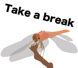 Cool Japanese insects sticker #7064855