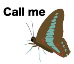 Cool Japanese insects sticker #7064859