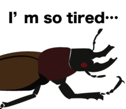 Cool Japanese insects sticker #7064861