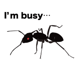 Cool Japanese insects sticker #7064862