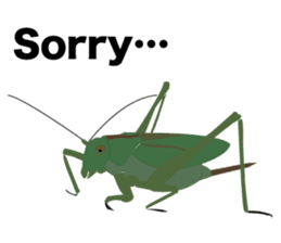 Cool Japanese insects sticker #7064863