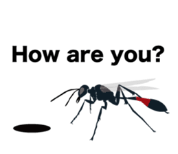 Cool Japanese insects sticker #7064865