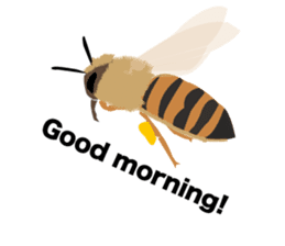 Cool Japanese insects sticker #7064866