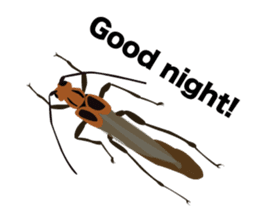 Cool Japanese insects sticker #7064867