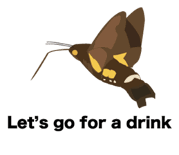 Cool Japanese insects sticker #7064870