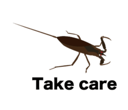 Cool Japanese insects sticker #7064872