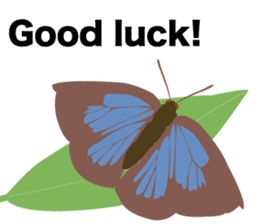 Cool Japanese insects sticker #7064875