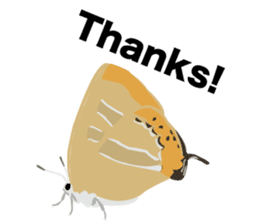 Cool Japanese insects sticker #7064876