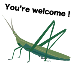 Cool Japanese insects sticker #7064877