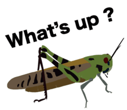 Cool Japanese insects sticker #7064879