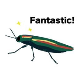 Cool Japanese insects sticker #7064880