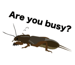 Cool Japanese insects sticker #7064881