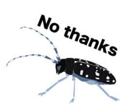 Cool Japanese insects sticker #7064883