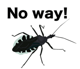 Cool Japanese insects sticker #7064884