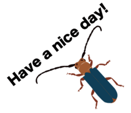 Cool Japanese insects sticker #7064886