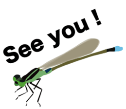 Cool Japanese insects sticker #7064887