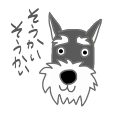 Schnauzers, sometimes look like a grampa sticker #7066551