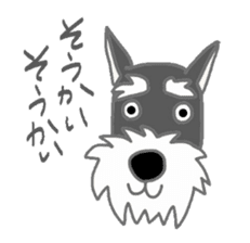 Schnauzers, sometimes look like a grampa sticker #7066551