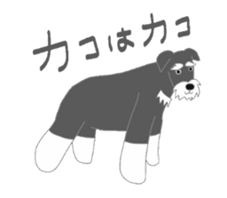 Schnauzers, sometimes look like a grampa sticker #7066552