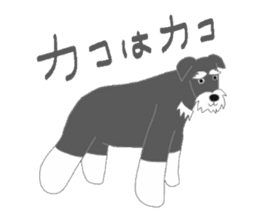 Schnauzers, sometimes look like a grampa sticker #7066552