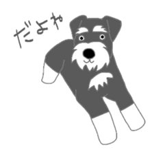 Schnauzers, sometimes look like a grampa sticker #7066555