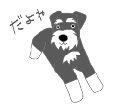 Schnauzers, sometimes look like a grampa sticker #7066555