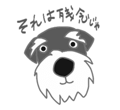 Schnauzers, sometimes look like a grampa sticker #7066556