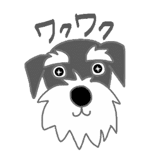 Schnauzers, sometimes look like a grampa sticker #7066559