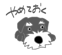 Schnauzers, sometimes look like a grampa sticker #7066560