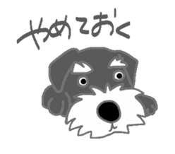 Schnauzers, sometimes look like a grampa sticker #7066560