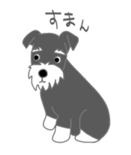 Schnauzers, sometimes look like a grampa sticker #7066562