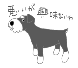 Schnauzers, sometimes look like a grampa sticker #7066564