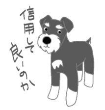 Schnauzers, sometimes look like a grampa sticker #7066565