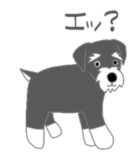 Schnauzers, sometimes look like a grampa sticker #7066566