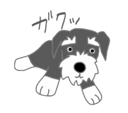 Schnauzers, sometimes look like a grampa sticker #7066567