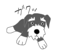 Schnauzers, sometimes look like a grampa sticker #7066567